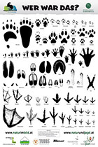 Poster_Tierspuren_A0_finale Version