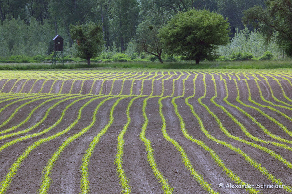 004_Naturinfozentrum-Saxen