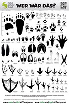 004_Tierspuren-Fotos.jpg Poster_Trittsiegel_2022_A1_PRINT bei onlineprinters