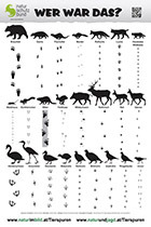 005_Tierspuren-Fotos.jpg Poster_Tierspurenbestimmung_2014_A1_Christian