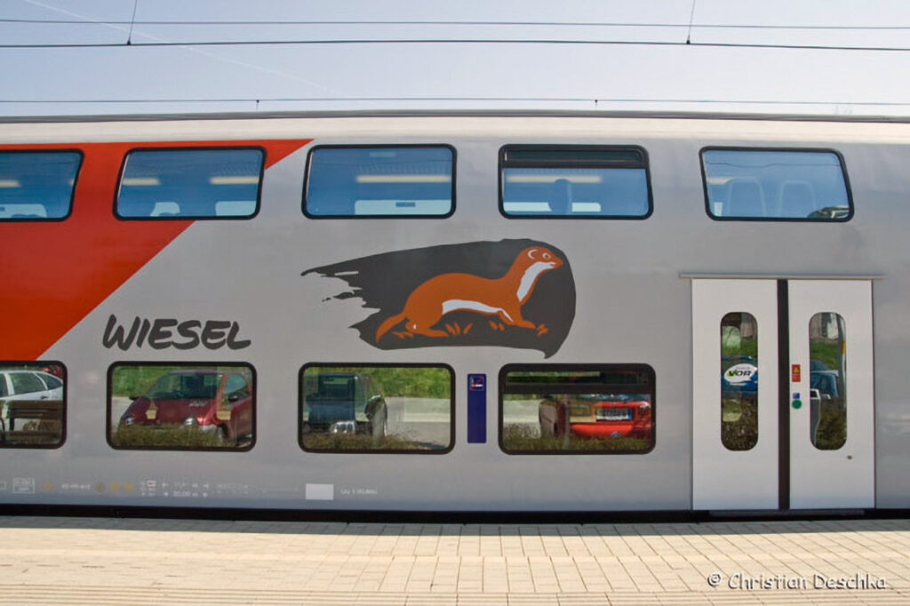 006_Mauswiesel.jpg 006_Mauswiesel