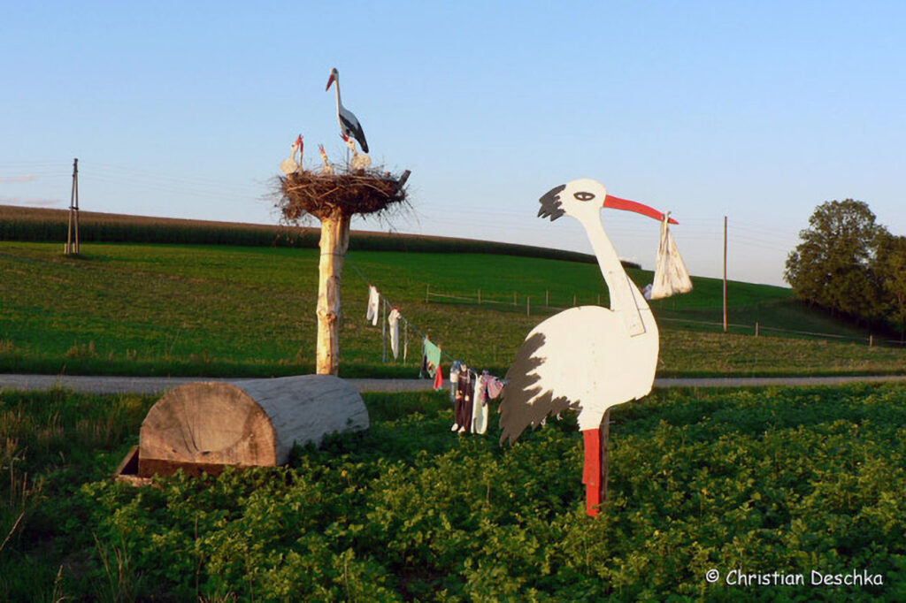 006_Voegel-an-Gebaeuden.jpg 006_Voegel-an-Gebaeuden