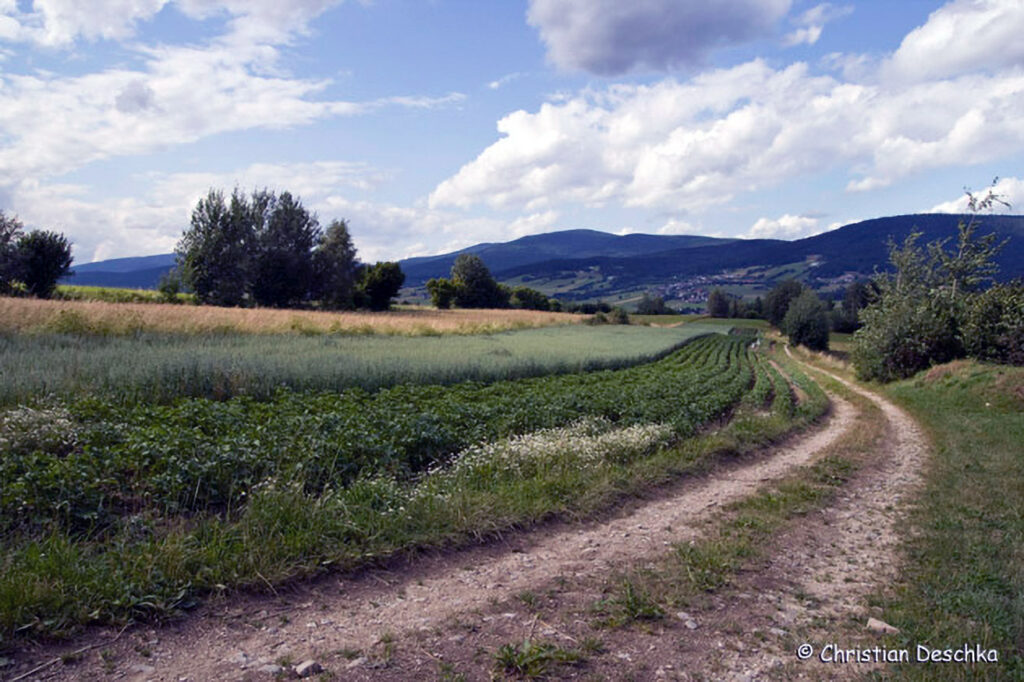 007_Landschaftsschutzgebiet-Oedenkirchen.jpg 007_Landschaftsschutzgebiet-Oedenkirchen