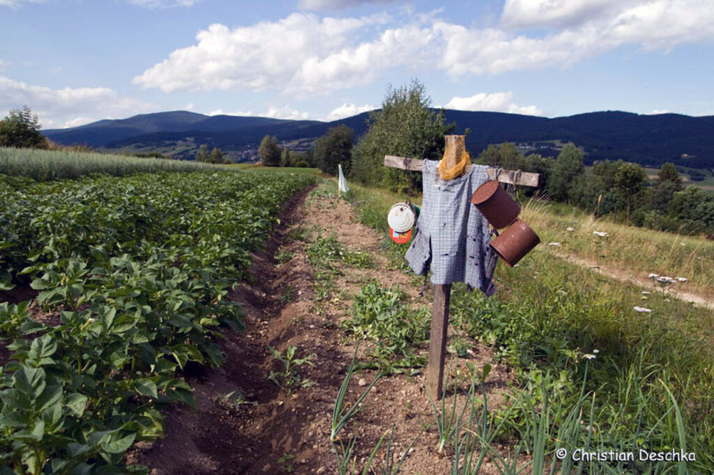 008_Landschaftsschutzgebiet-Oedenkirchen