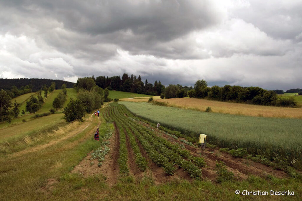009_Landschaftsschutzgebiet-Oedenkirchen.jpg 009_Landschaftsschutzgebiet-Oedenkirchen