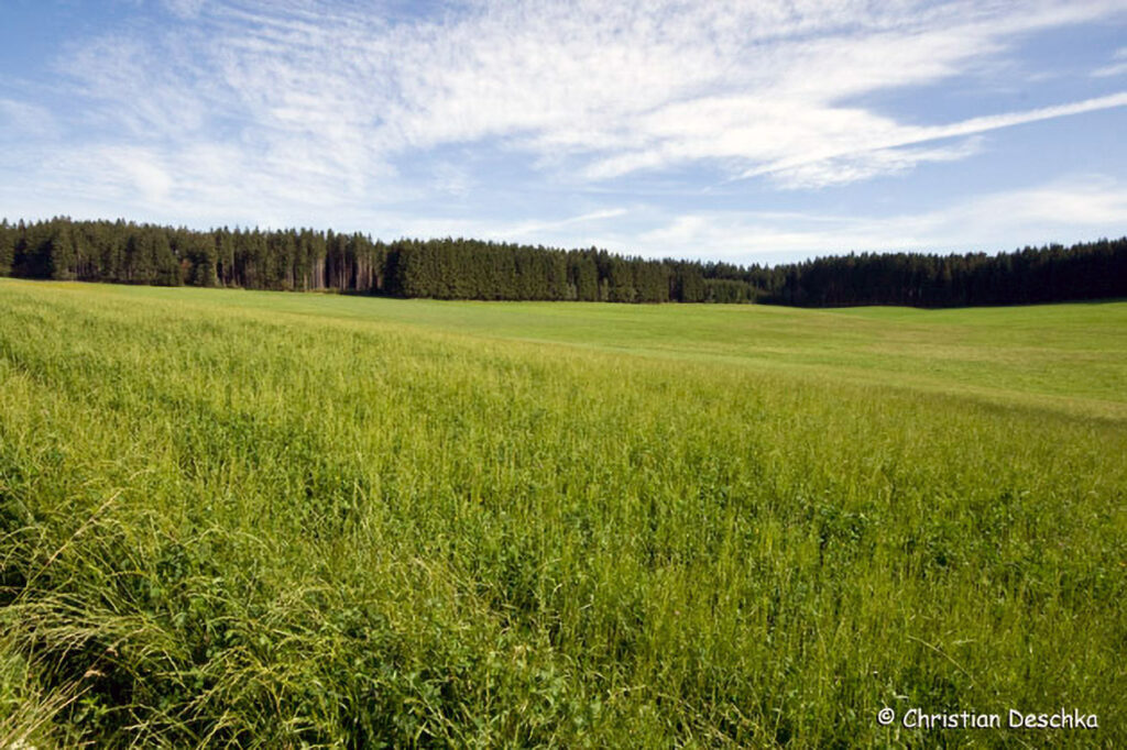 010_Landschaftsschutzgebiet-Oedenkirchen.jpg 010_Landschaftsschutzgebiet-Oedenkirchen