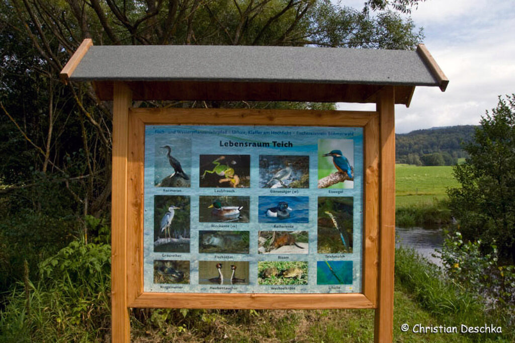 014_Fisch-und-Wasserpflanzenweg
