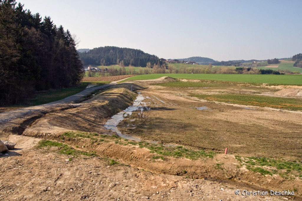 014_Gelbbauchunke.jpg 014_Gelbbauchunke