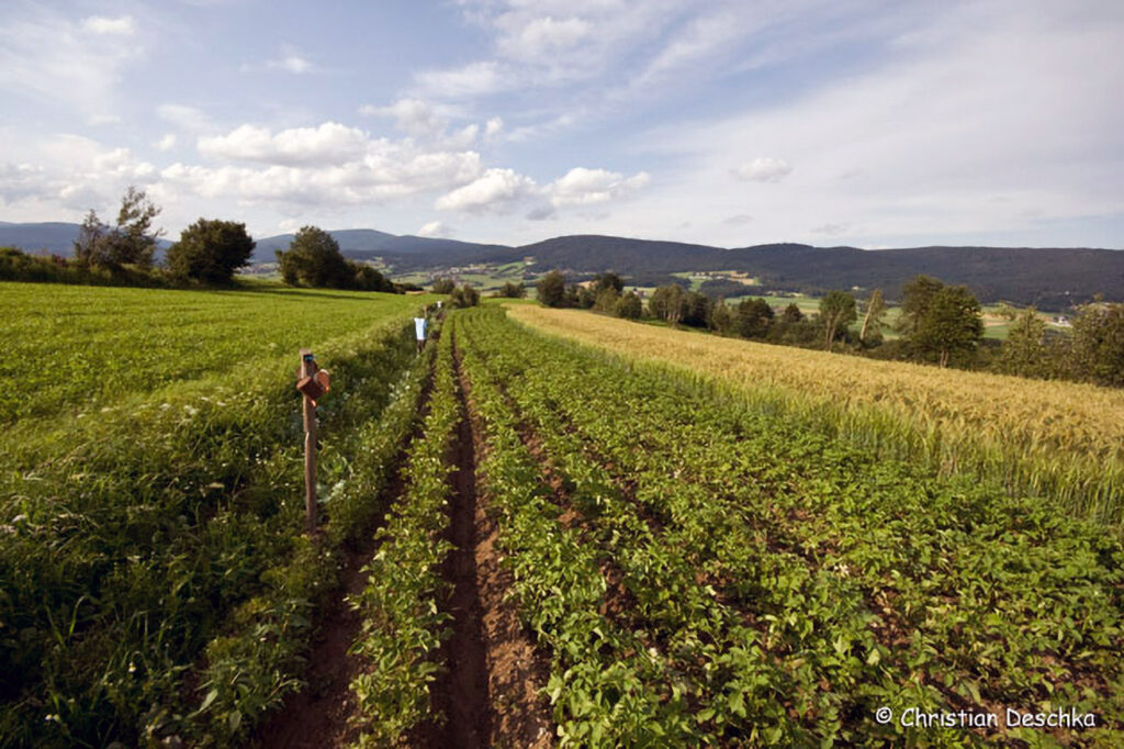 021_Landschaftsschutzgebiet-Oedenkirchen.jpg 021_Landschaftsschutzgebiet-Oedenkirchen