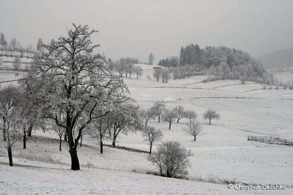 023_Landschaftsschutzgebiet-Oedenkirchen