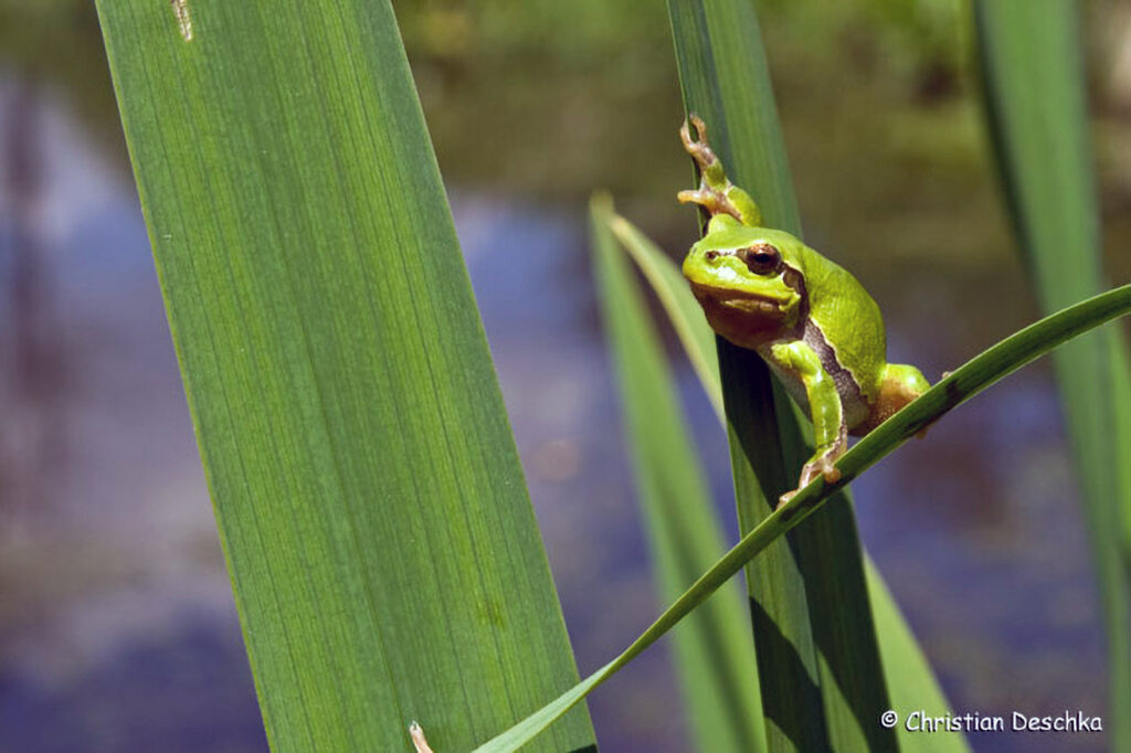 025_Umfahrung-Peilstein