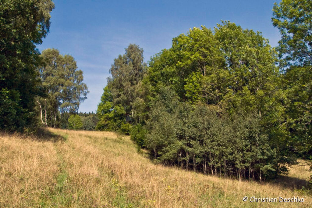 035_Kulturlandschaft