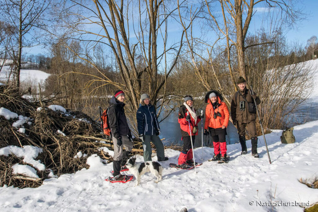 052_Tierspuren-im-Schnee