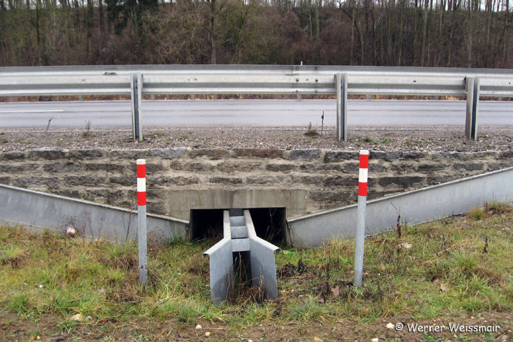 061_Aktiv-werden.jpg 061_Aktiv-werden